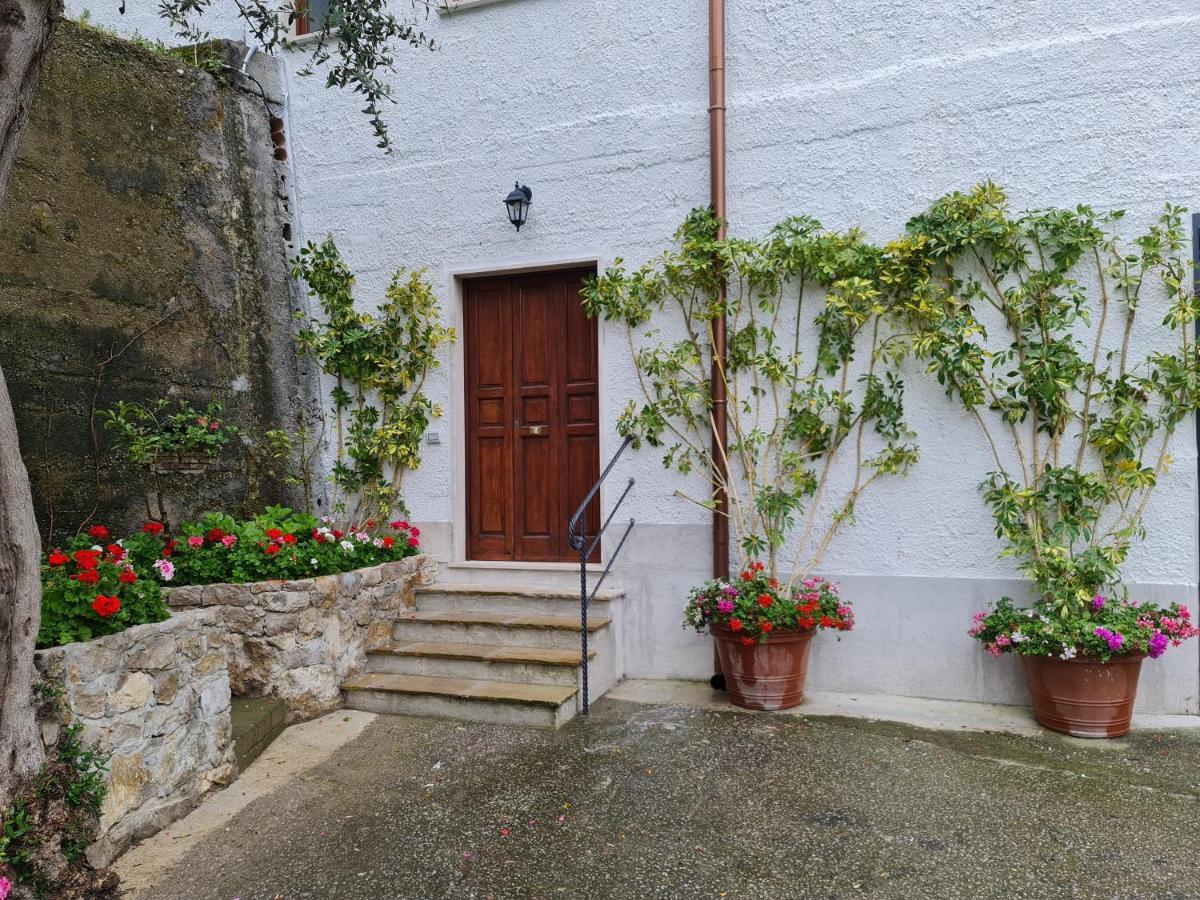 Villa Casa Betania Da Peppe à Sorrente Extérieur photo